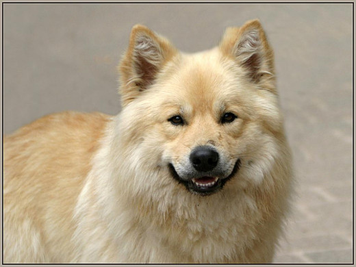 349653 (a): :1024x768